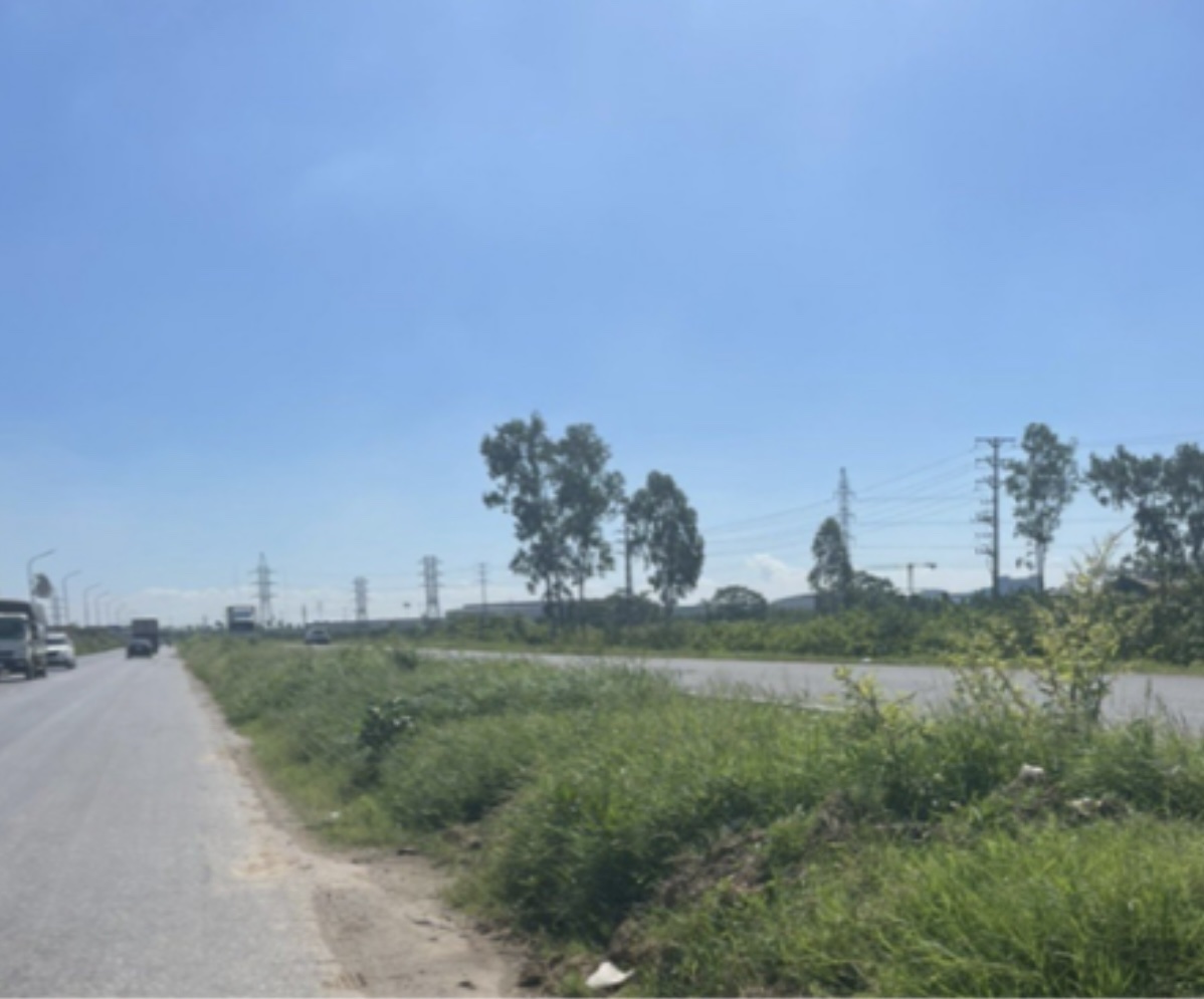 Cho thuê đất Thôn Thư Thị, Tân Lập, Hưng Yên